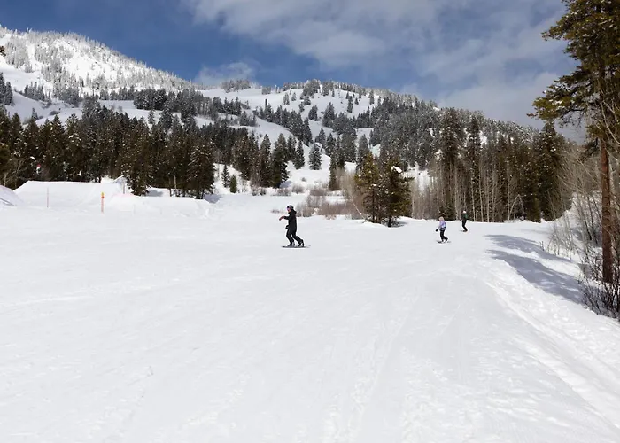 Abode On The Big Trail Teton Village
